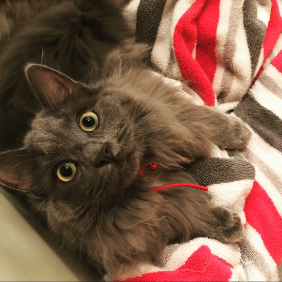 Meet your Posher, Jenn 🌸 - Picture 3 of 9